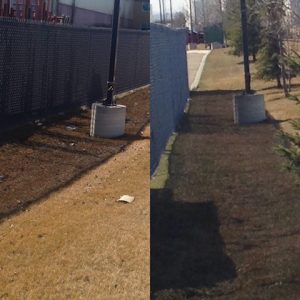 spring/fall landscape