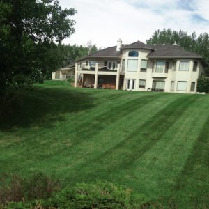 big green lawn